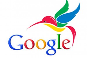 google-hummingbird