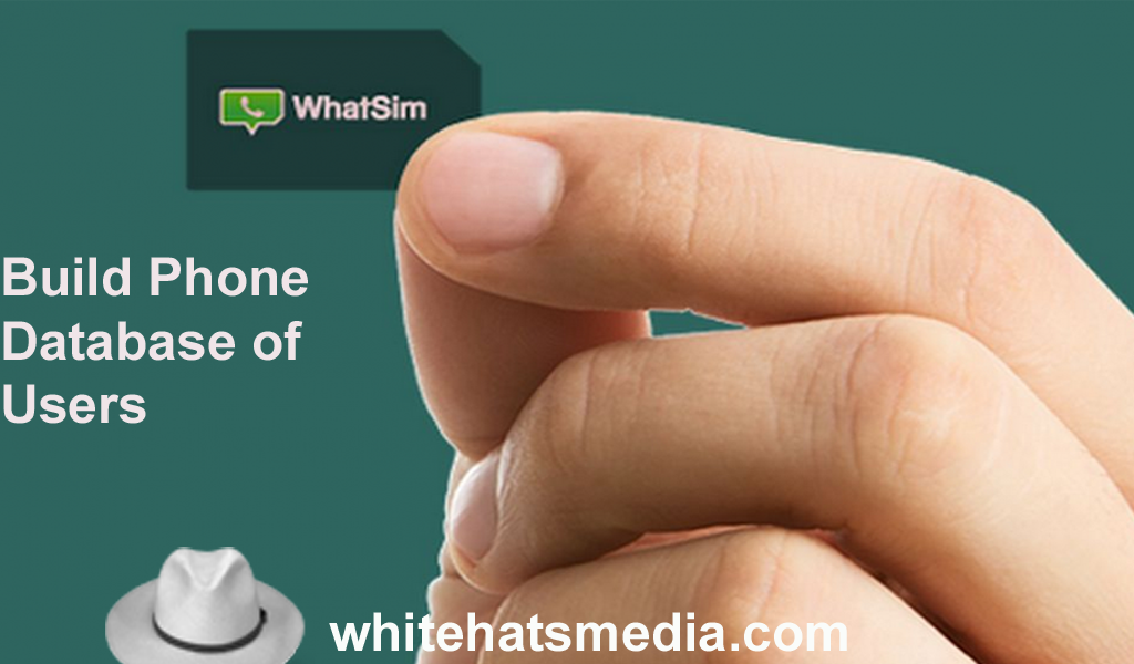 Build Phone Database of Users-Whatsapp marketing online-WhitehatsMedia
